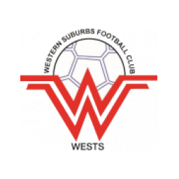 納皮爾城流浪者